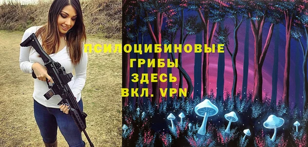 дмт Гусиноозёрск