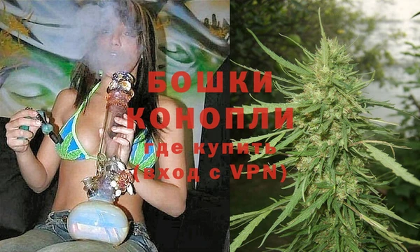ALPHA-PVP Гусев