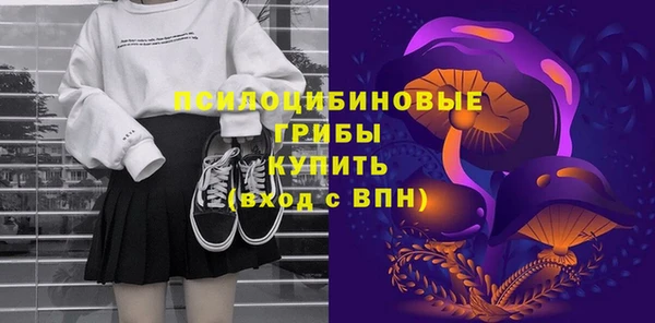 дмт Гусиноозёрск